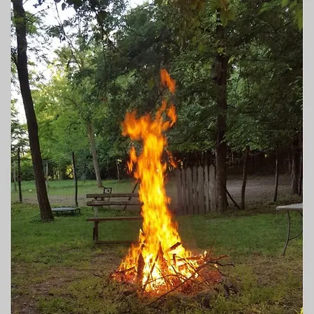 Igricz Farmhaz Pócsmegyer