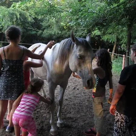 Igricz Farmhaz Prázdninový dům Pócsmegyer