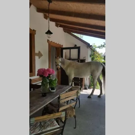 Igricz Farmhaz Pócsmegyer