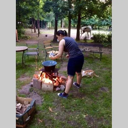 Igricz Farmhaz بيت للعطل