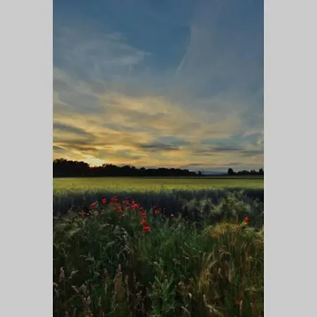 بيت للعطل Igricz Farmhaz *